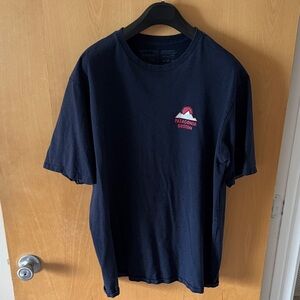 Patagonia Boston Navy T-Shirt with Pink Logo